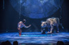Cirque du Soleil's "LUZIA" is playful, colorful and romantic