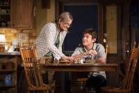 Mary Beth Fisher and Bubba Weiler in "Swing State" at the Goodman Theatre
