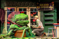 Alex Villaseñor (Audrey II puppeteer) and Jimmy Hogan in LITTLE SHOP OF HORRORS from Music Theater Works now playing at the North Shore Center for the Performing Arts through November 17th.